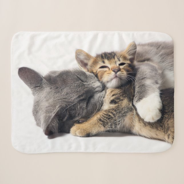 Cutest Baby Animals | Cute Kitten Hug Sherpa Blanket (Front (Horizontal))