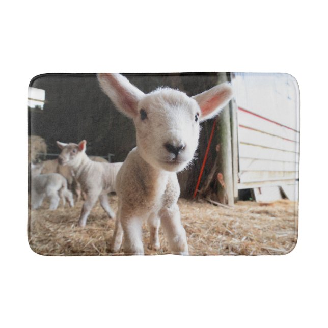 Cutest Baby Animals | Cute Lamb in a Farm Bath Mat (Front)
