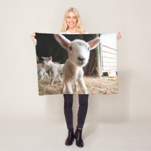 Cutest Baby Animals   Cute Lamb in a Farm Fleece Blanket