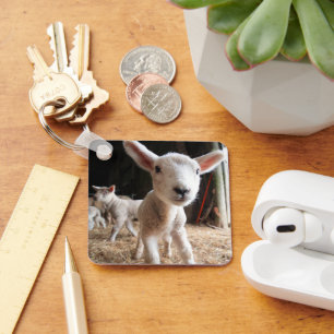 Cutest Baby Animals   Cute Lamb in a Farm Keychain