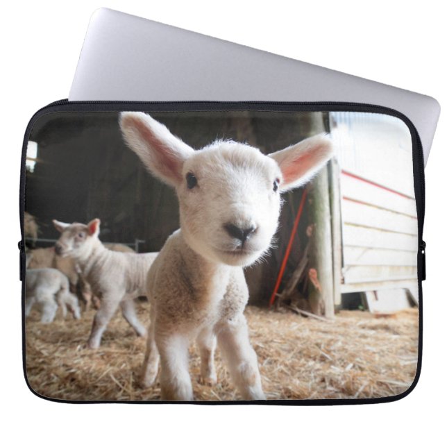 Cutest Baby Animals | Cute Lamb in a Farm Laptop Sleeve (Front)
