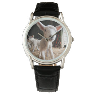Cutest Baby Animals   Cute Lamb in a Farm Watch