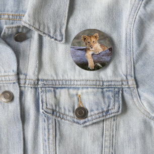 Cutest Baby Animals   Cute Lion Cub 2 Inch Round Button