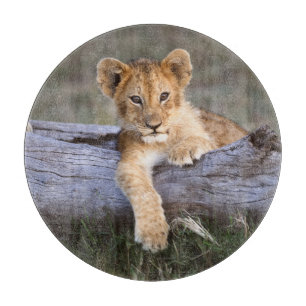 Cutest Baby Animals   Cute Lion Cub Cutting Board