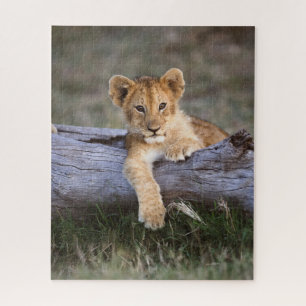 Cutest Baby Animals   Cute Lion Cub Jigsaw Puzzle