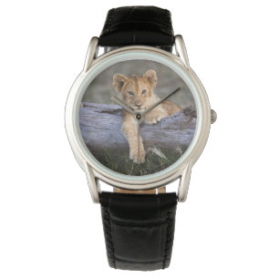 Cutest Baby Animals   Cute Lion Cub Watch