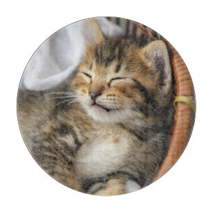 Cutest Baby Animals   Cute Tabby Cat Sleeping Cutting Board