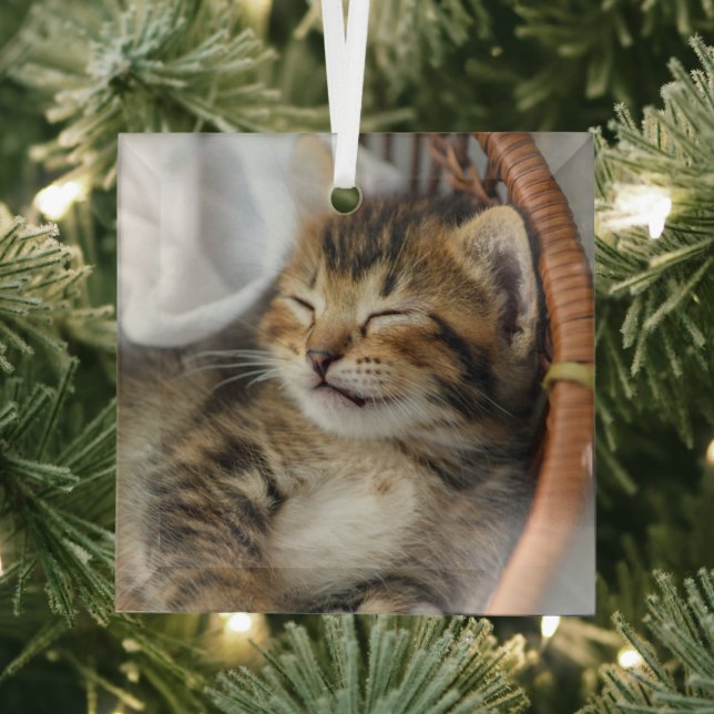 Cutest Baby Animals | Cute Tabby Cat Sleeping Glass Ornament (Insitu)