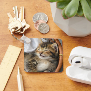 Cutest Baby Animals   Cute Tabby Cat Sleeping Keychain