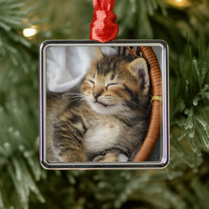 Cutest Baby Animals   Cute Tabby Cat Sleeping Metal Ornament
