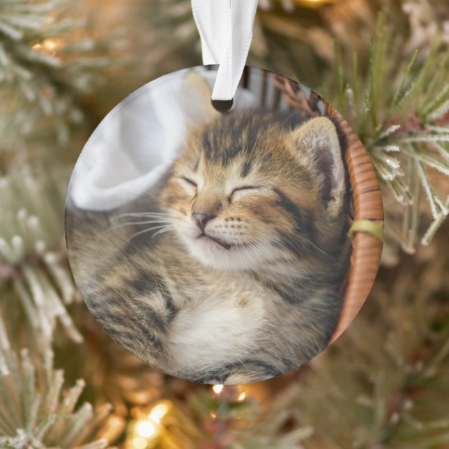 Cutest Baby Animals | Cute Tabby Cat Sleeping Ornament (Tree)