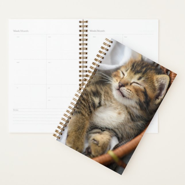 Cutest Baby Animals | Cute Tabby Cat Sleeping Planner (Display)