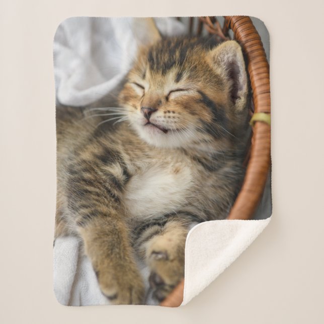 Cutest Baby Animals | Cute Tabby Cat Sleeping Sherpa Blanket (Front)