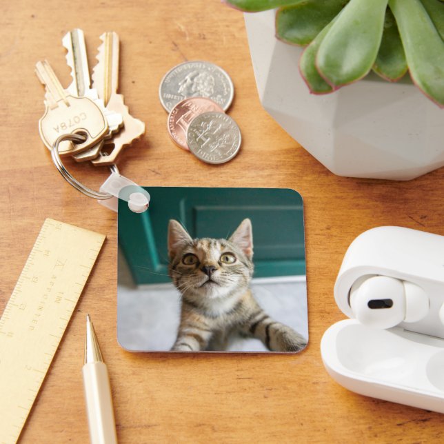 Cutest Baby Animals | Cute Tabby Kitten Keychain (Desk)