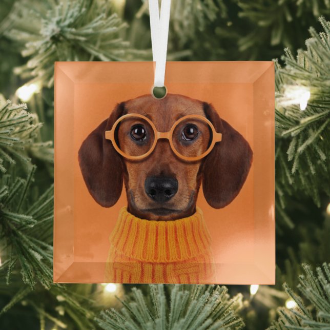 Cutest Baby Animals | Dachshund Orange Sweater Glass Ornament (Insitu)