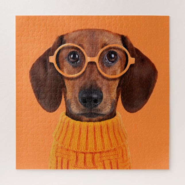 Cutest Baby Animals | Dachshund Orange Sweater Jigsaw Puzzle (Vertical)