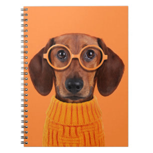 Cutest Baby Animals Dachshund Orange Sweater Notebook