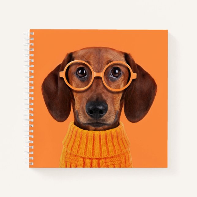 Cutest Baby Animals | Dachshund Orange Sweater Notebook (Front)