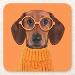 Cutest Baby Animals Dachshund Orange Sweater Square Paper Coaster