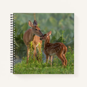 Cutest Baby Animals   Deer and Baby Notebook