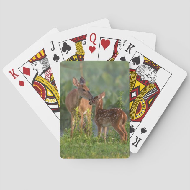 Cutest Baby Animals | Deer and Baby Playing Cards (Back)