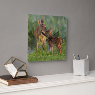 Cutest Baby Animals Deer and Baby Square Wall Clock