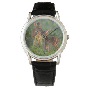 Cutest Baby Animals   Deer and Baby Watch