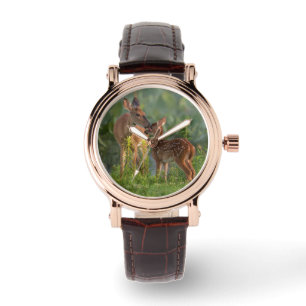 Cutest Baby Animals   Deer and Baby Watch