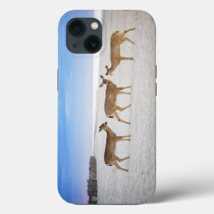 Cutest Baby Animals   Deer at the Beach iPhone 13 Case
