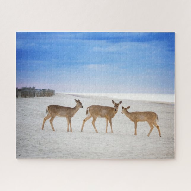Cutest Baby Animals | Deer at the Beach Jigsaw Puzzle (Horizontal)