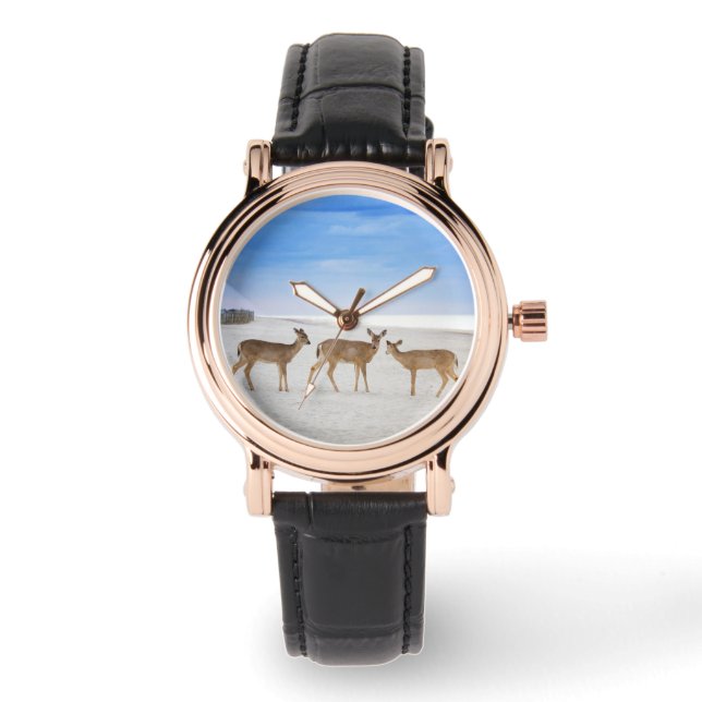 Cutest Baby Animals | Deer at the Beach Watch (Front)