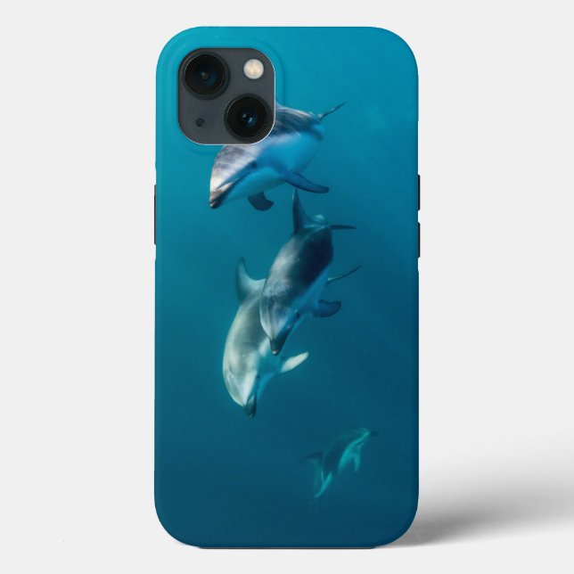 Cutest Baby Animals | Dolphin Family Case-Mate iPhone Case (Back)