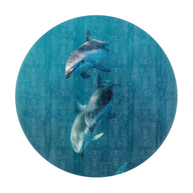 Cutest Baby Animals | Dolphin Family Cutting Board (Front)