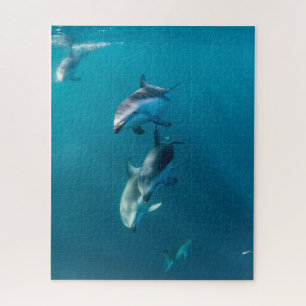 Cutest Baby Animals Dolphin Family Jigsaw Puzzle