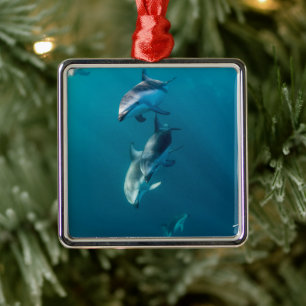Cutest Baby Animals Dolphin Family Metal Ornament