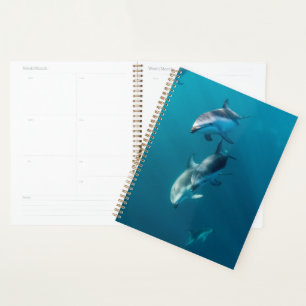 Cutest Baby Animals   Dolphin Family Planner