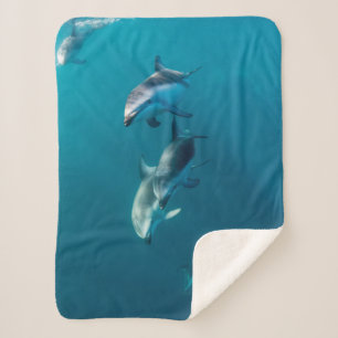 Cutest Baby Animals   Dolphin Family Sherpa Blanket