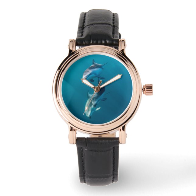 Cutest Baby Animals | Dolphin Family Watch (Front)