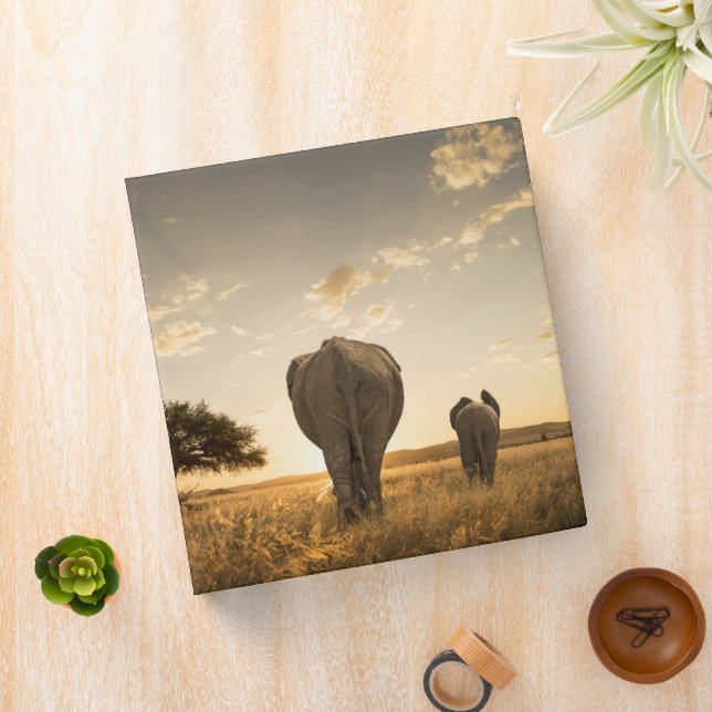 Cutest Baby Animals | Elephant Calf & Mother Binder (In Situ)