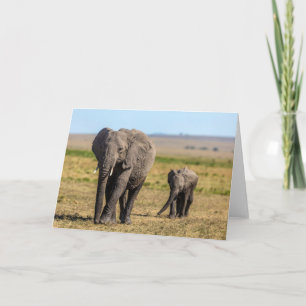 Cutest Baby Animals Elephant Mother & Baby Card