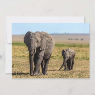 Cutest Baby Animals   Elephant Mother & Baby Thank You Card