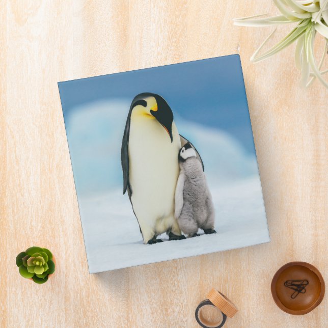 Cutest Baby Animals | Emperor Penguin Chick Binder (In Situ)