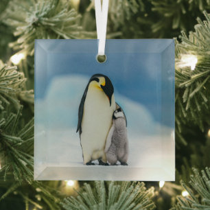 Cutest Baby Animals Emperor Penguin Chick Glass Ornament