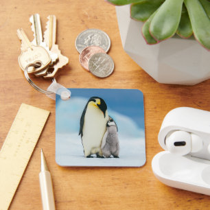 Cutest Baby Animals   Emperor Penguin Chick Keychain