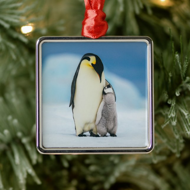 Cutest Baby Animals | Emperor Penguin Chick Metal Ornament (Tree)