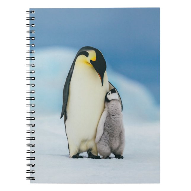 Cutest Baby Animals | Emperor Penguin Chick Notebook (Front)