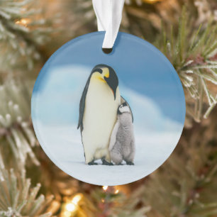 Cutest Baby Animals Emperor Penguin Chick Ornament