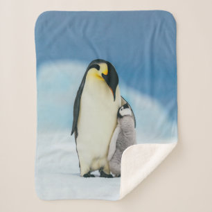 Cutest Baby Animals Emperor Penguin Chick Sherpa Blanket