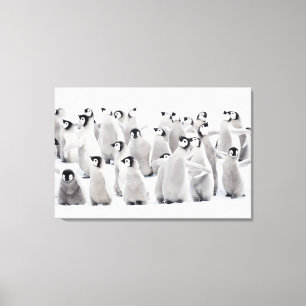 Cutest Baby Animals Emperor Penguin Chicks Canvas Print