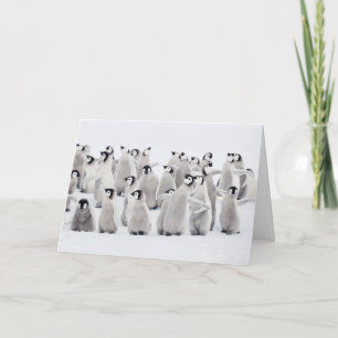 Cutest Baby Animals   Emperor Penguin Chicks Card